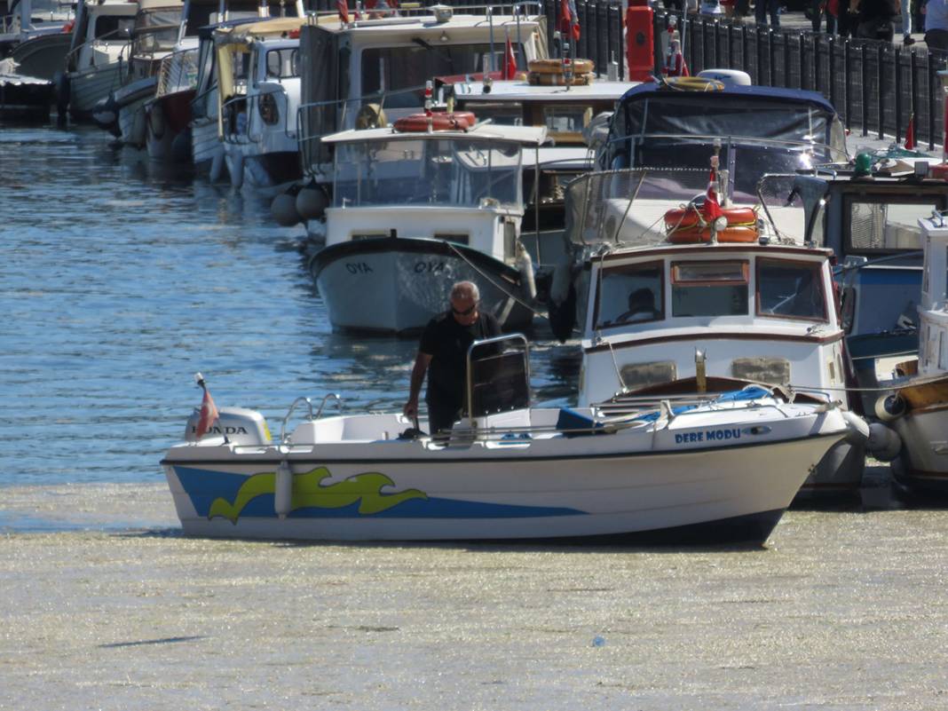 Beton dökülmüş gibi! Kurbağalıdere'yi görenler şaşkın 12