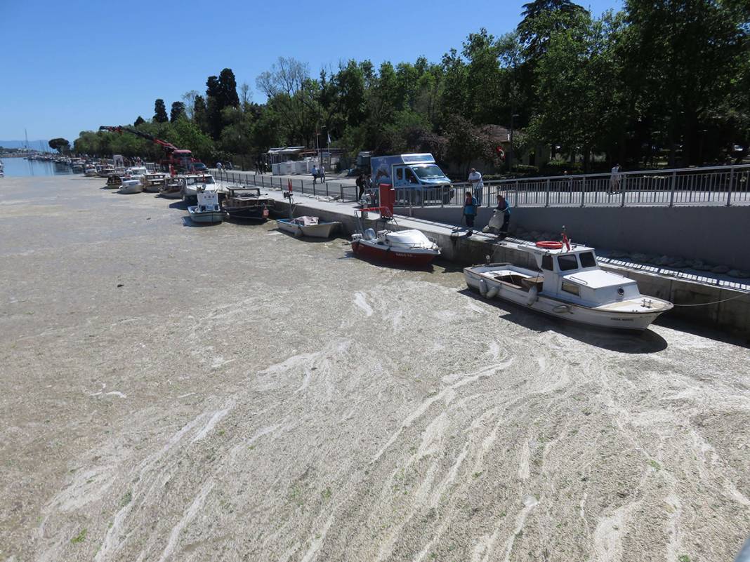 Beton dökülmüş gibi! Kurbağalıdere'yi görenler şaşkın 13