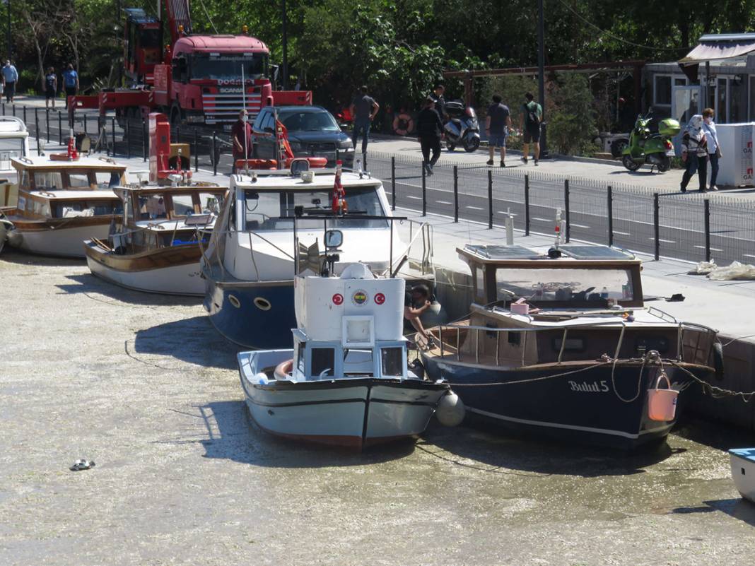 Beton dökülmüş gibi! Kurbağalıdere'yi görenler şaşkın 14