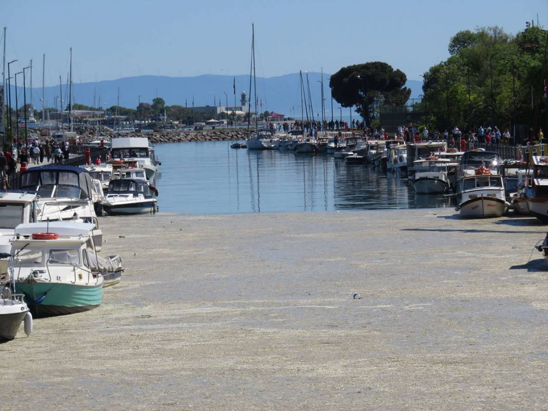 Beton dökülmüş gibi! Kurbağalıdere'yi görenler şaşkın 15