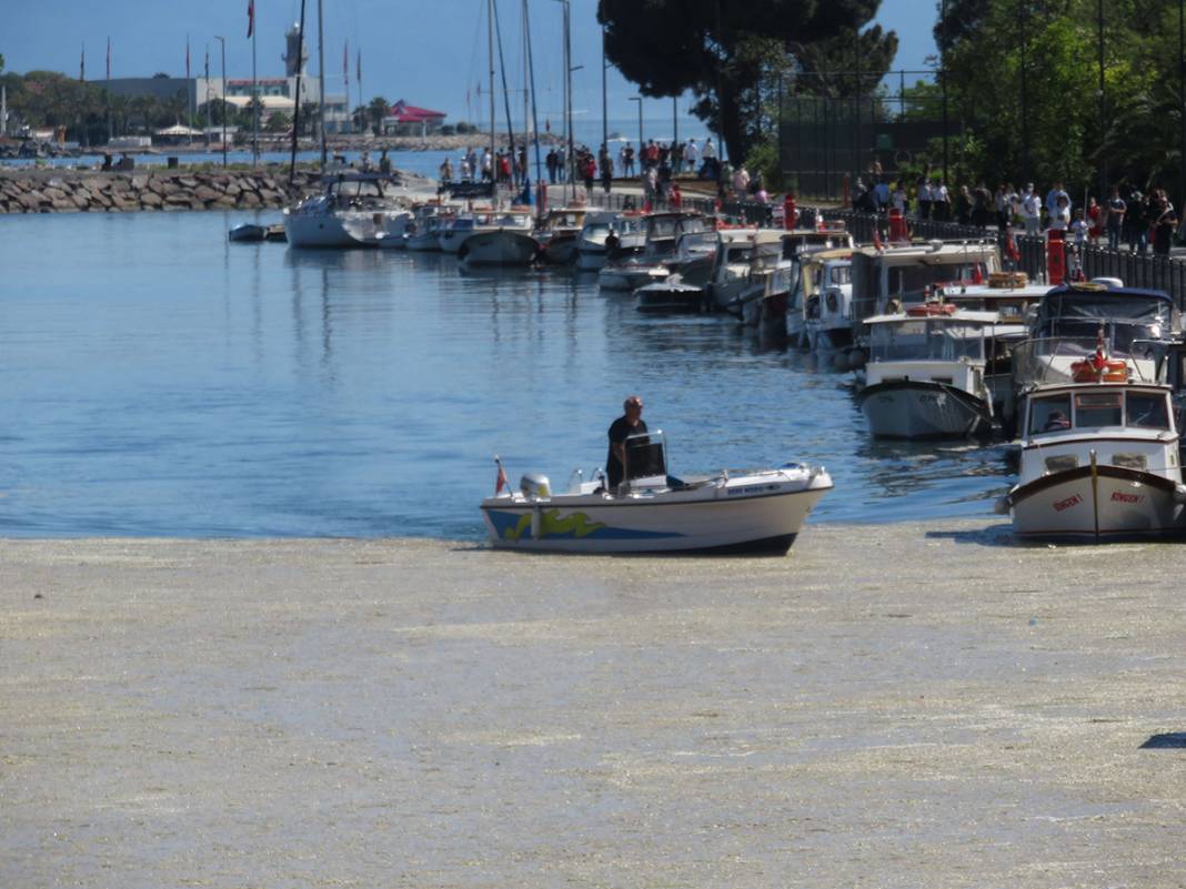 Beton dökülmüş gibi! Kurbağalıdere'yi görenler şaşkın 16