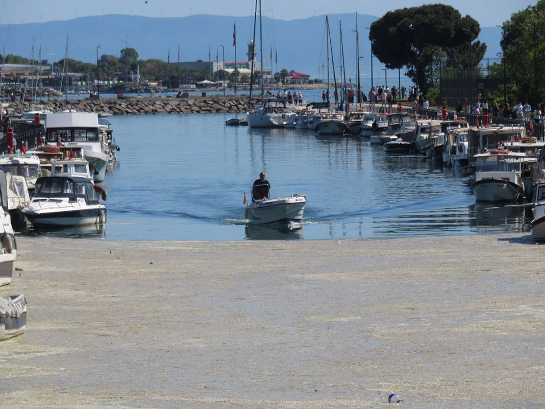 Beton dökülmüş gibi! Kurbağalıdere'yi görenler şaşkın 7