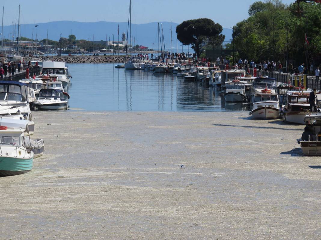 Beton dökülmüş gibi! Kurbağalıdere'yi görenler şaşkın 8