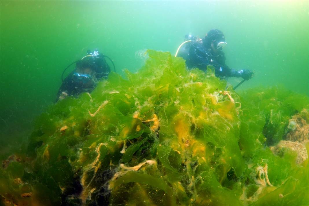 Kabus Marmara'yı sardı! İşte kare kare suyun altındaki trajedi 5