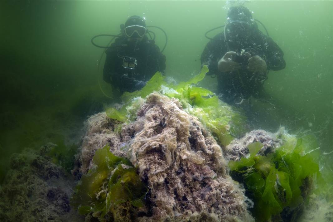 Kabus Marmara'yı sardı! İşte kare kare suyun altındaki trajedi 6