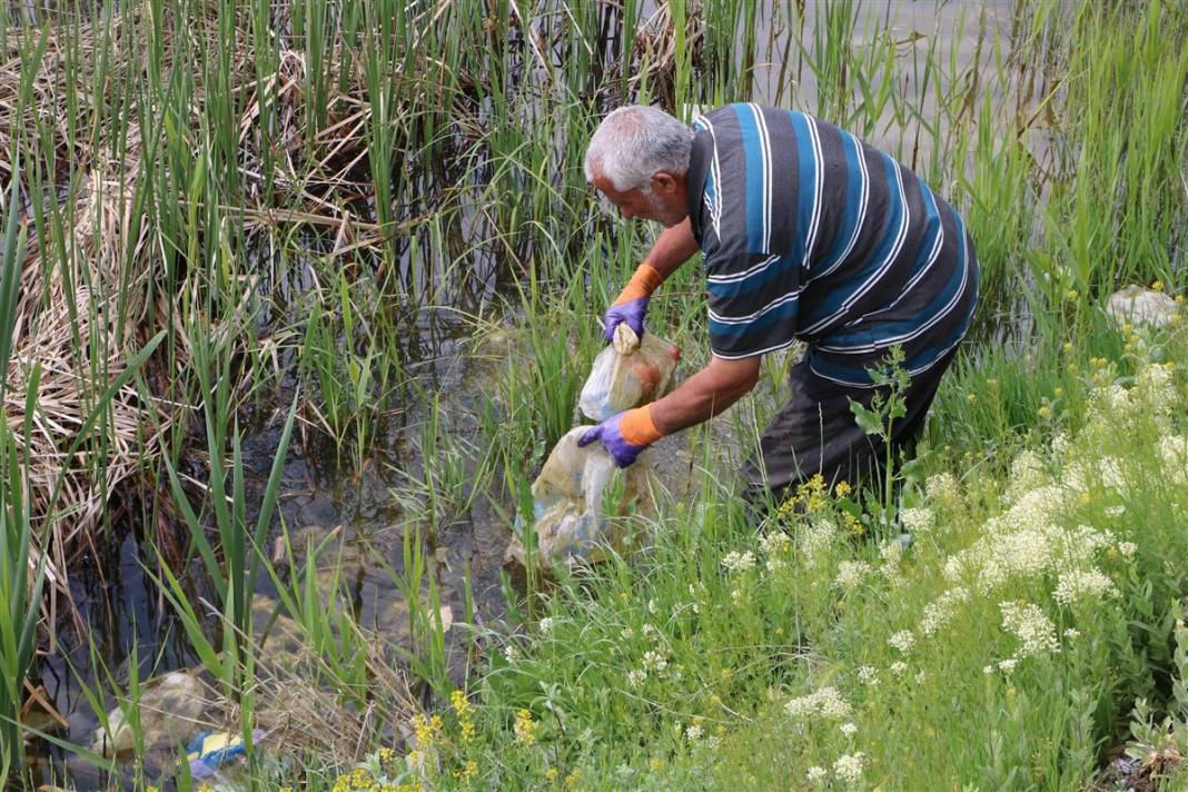 Sülük Göleti'ne nasıl kıydınız? 10