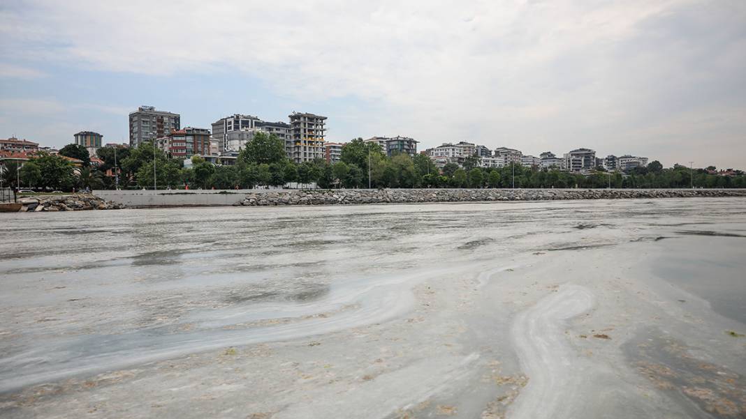 Caddebostan sahilinde yürekleri sızlatan görüntü: Deniz müsilaja teslim 1