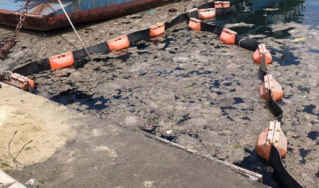 İstanbul Üniversitesi, deniz salyasını doğal ortamında temizlemeyi başardı 1