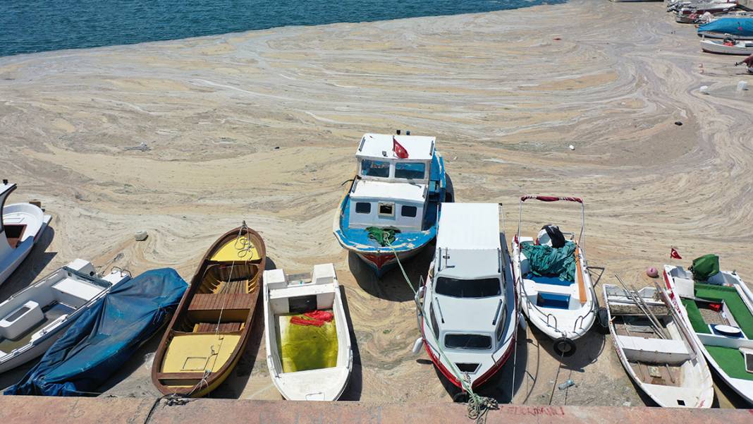 Deniz salyası Darıca sahiline nefes aldırmıyor 2