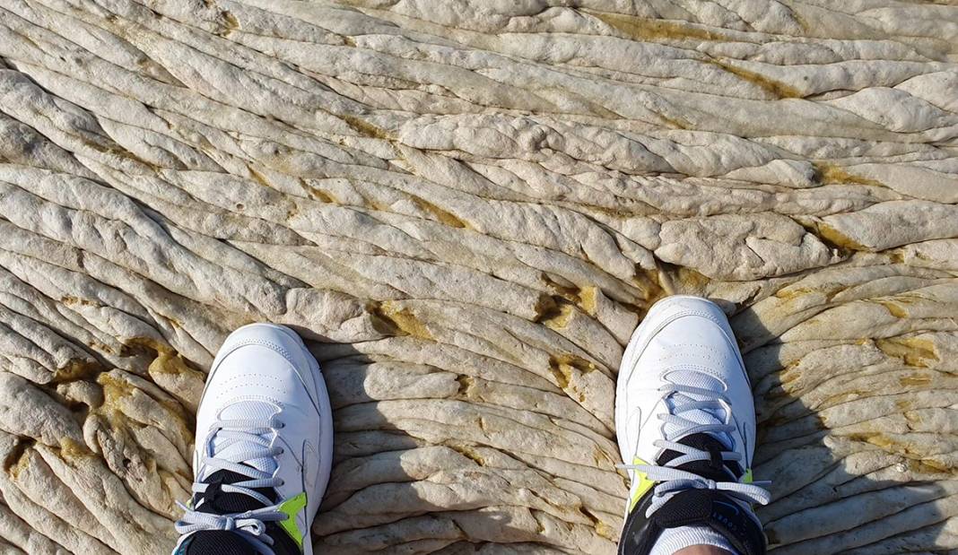 Teknesine giden diş hekimine şok: İlk başta beton sandı ama yaklaşınca hareket ettiğini... 1