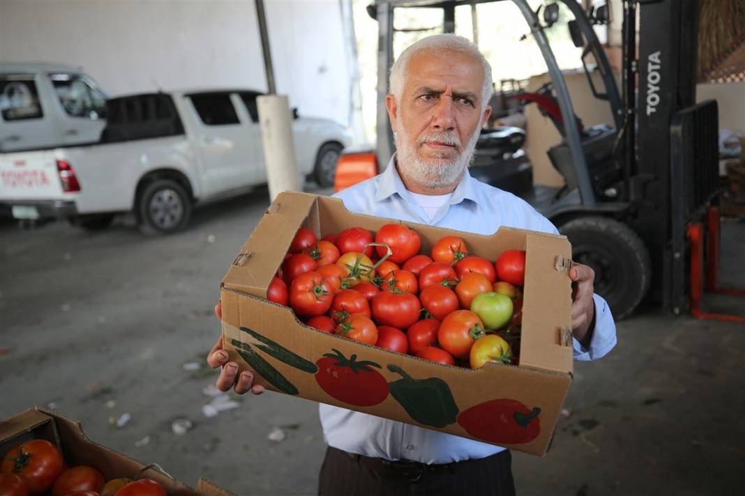 Domates sapı tehdit oldu! İsrail'den Gazzeli çiftçilere yeni baskı 4