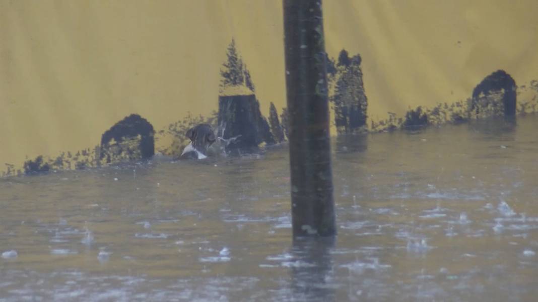 Meteoroloji'den Çarşamba günü için flaş uyarı: Radar görüntülerini paylaştı 23