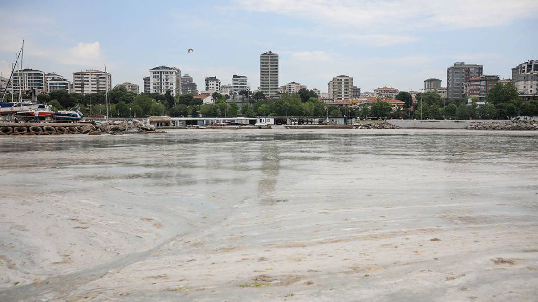 Caddebostan sahilinde yürekleri sızlatan görüntü: Deniz müsilaja teslim 3