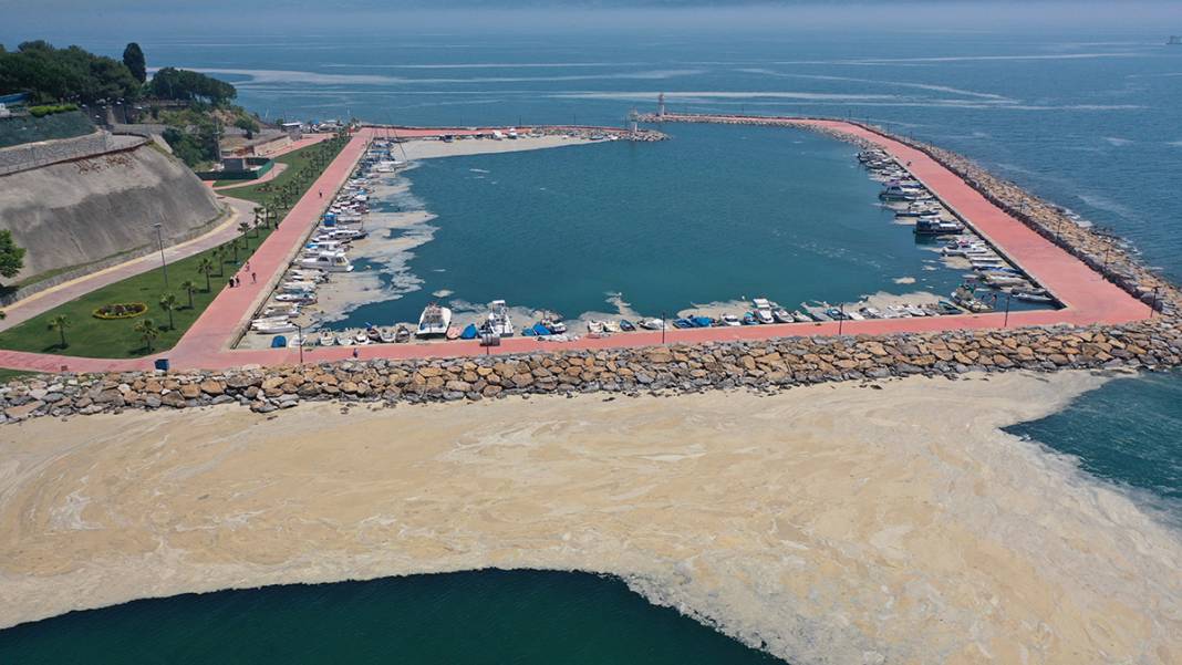 Deniz salyası Darıca sahiline nefes aldırmıyor 3