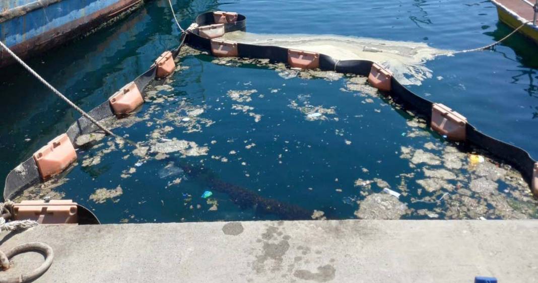 İstanbul Üniversitesi, deniz salyasını doğal ortamında temizlemeyi başardı 4