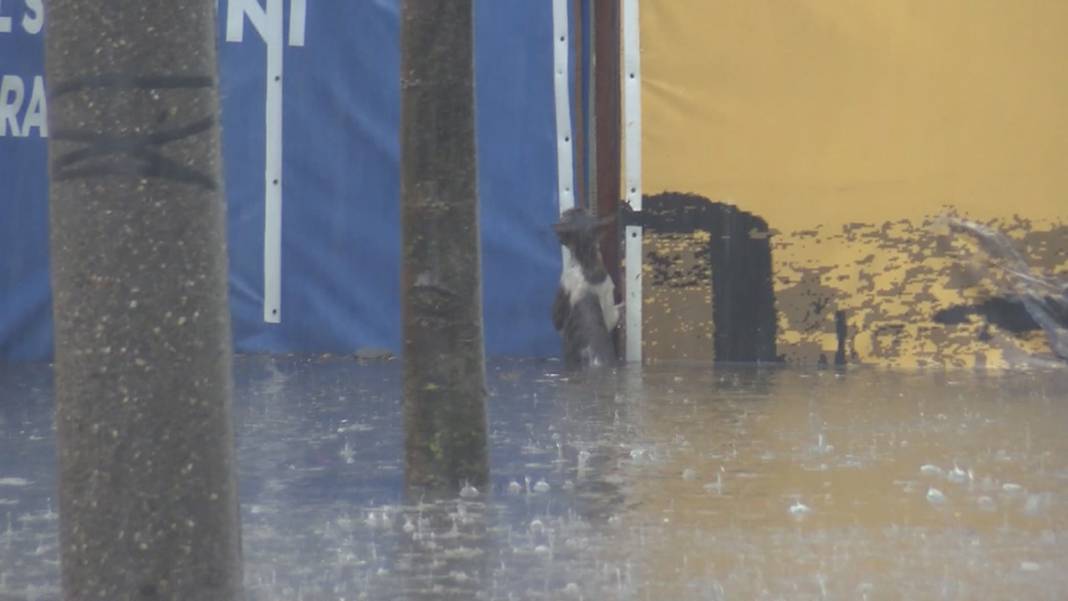 Meteoroloji'den Çarşamba günü için flaş uyarı: Radar görüntülerini paylaştı 26