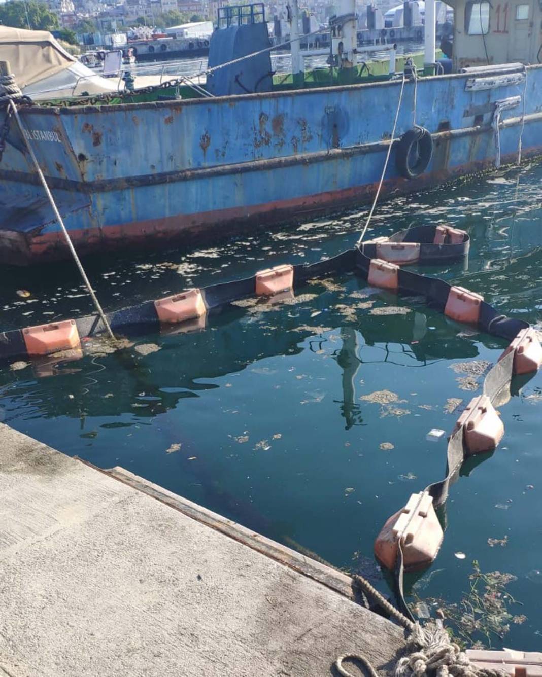 İstanbul Üniversitesi, deniz salyasını doğal ortamında temizlemeyi başardı 5
