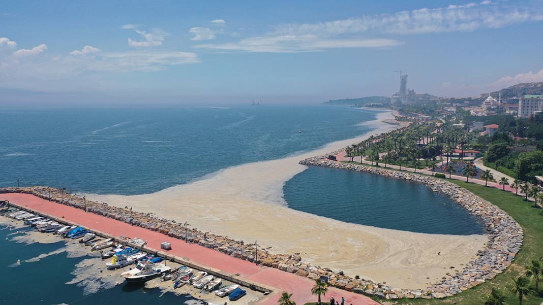 Deniz salyası Darıca sahiline nefes aldırmıyor 6