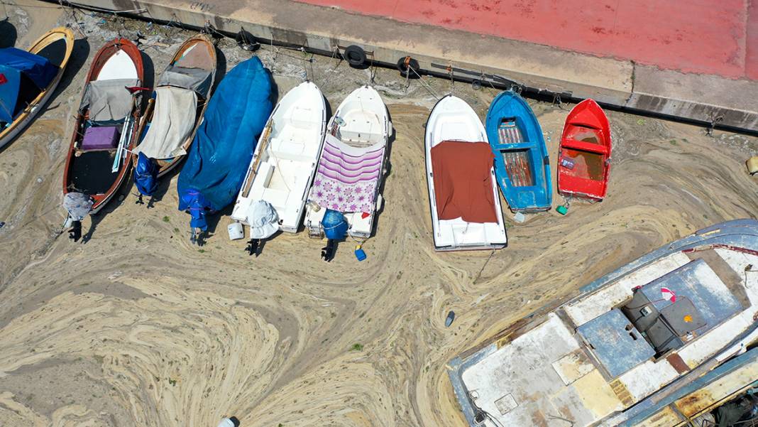 Deniz salyası Darıca sahiline nefes aldırmıyor 7