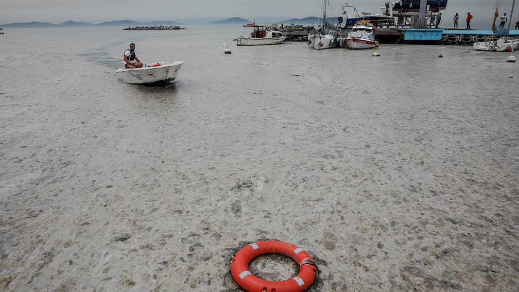 Caddebostan sahilinde yürekleri sızlatan görüntü: Deniz müsilaja teslim 8