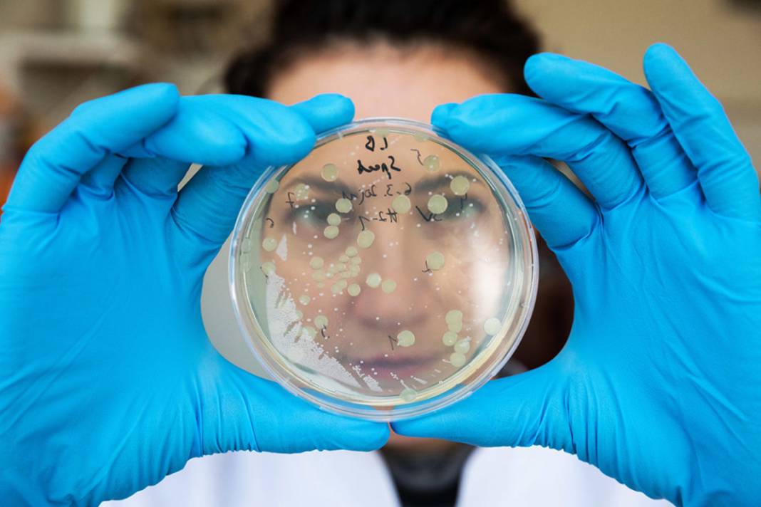 Sibirya'da donmuş toprakta bulundu! Mikroskobik Drakula 24 bin yıldır yaşıyor 8