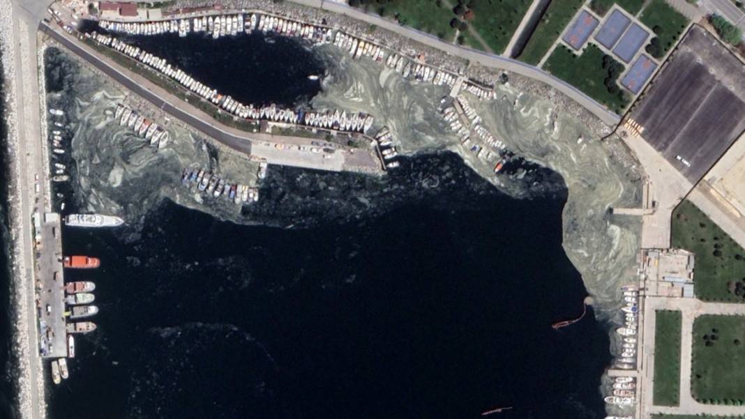 Deniz salyası uzaydan da görüldü 8