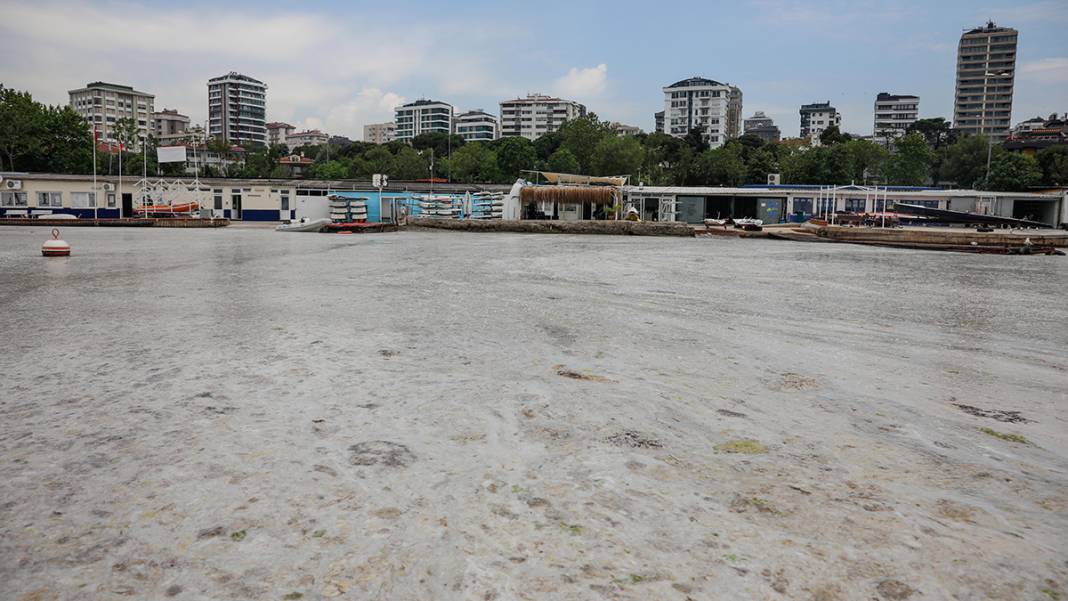 Caddebostan sahilinde yürekleri sızlatan görüntü: Deniz müsilaja teslim 9