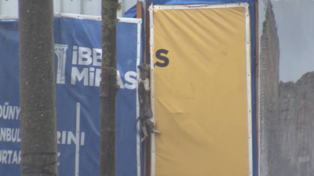 Meteoroloji'den Çarşamba günü için flaş uyarı: Radar görüntülerini paylaştı 28