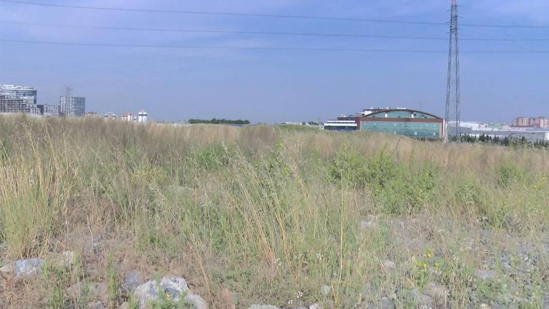 Kötüler varsa iyiler de var! Diri diri gömülen yavruları