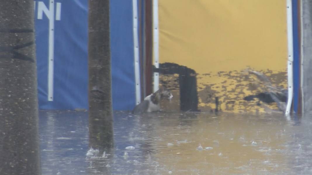 Meteoroloji'den Çarşamba günü için flaş uyarı: Radar görüntülerini paylaştı 29