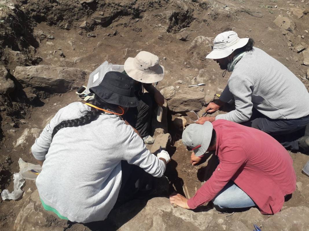 Malazgirt Savaşı'nın alanı tespit edilecek 5