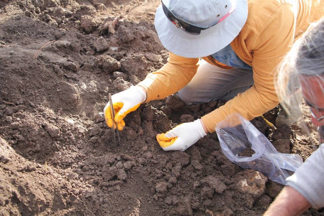 Malazgirt Savaşı'nın alanı tespit edilecek 6