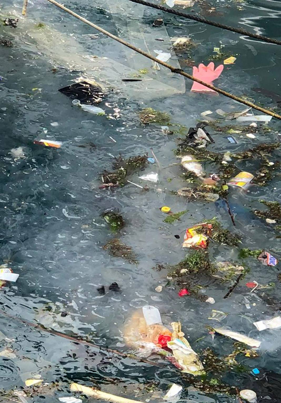 Marmara için acil önlem çağrısı: Ölü deniz haline geldi! 5