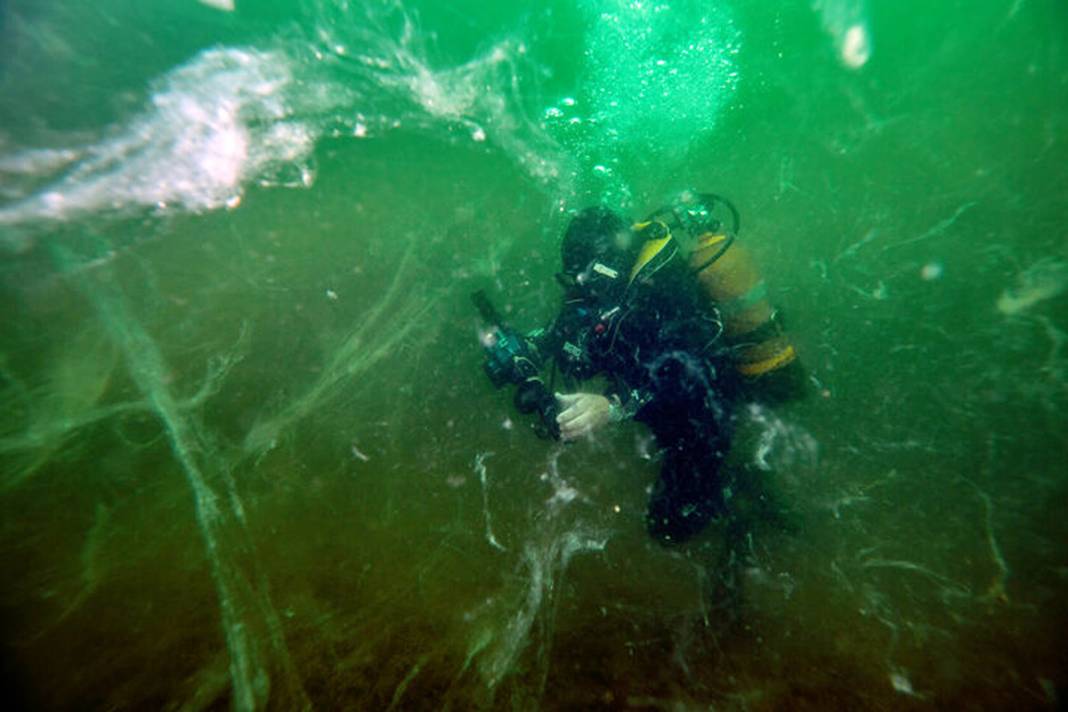 Marmara için acil önlem çağrısı: Ölü deniz haline geldi! 7