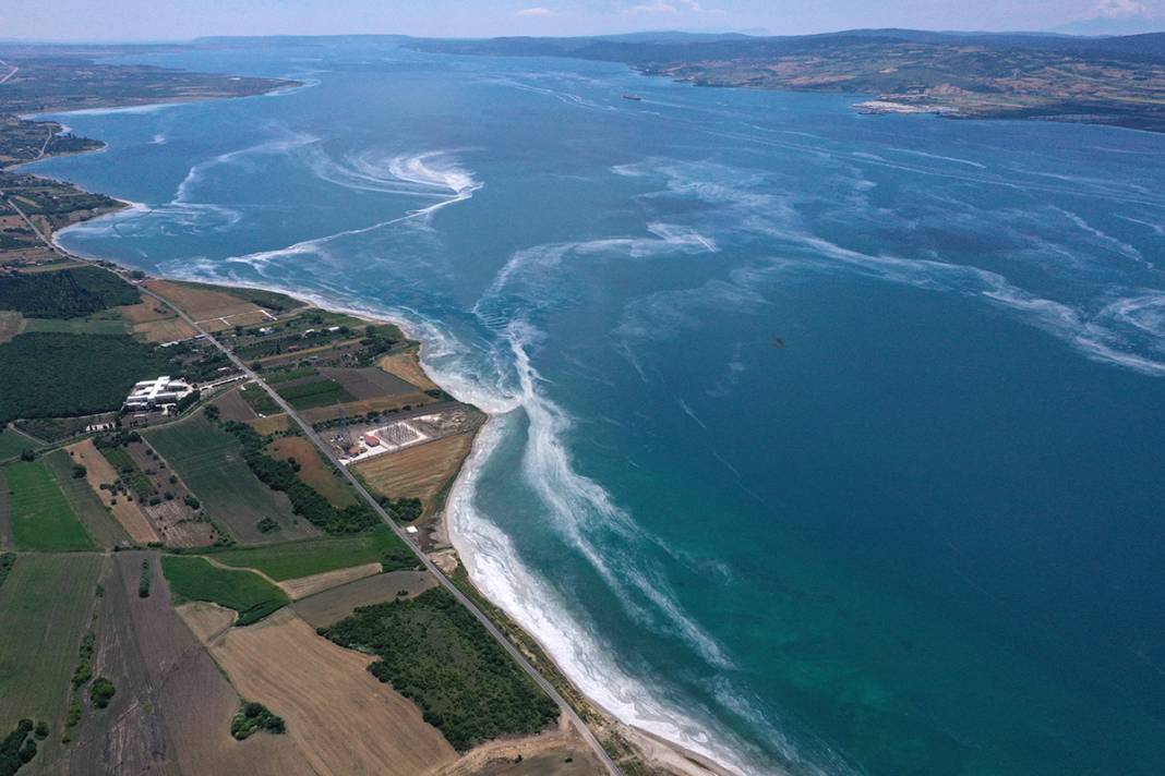 Deniz Salyası Ege'ye yayılıyor 5