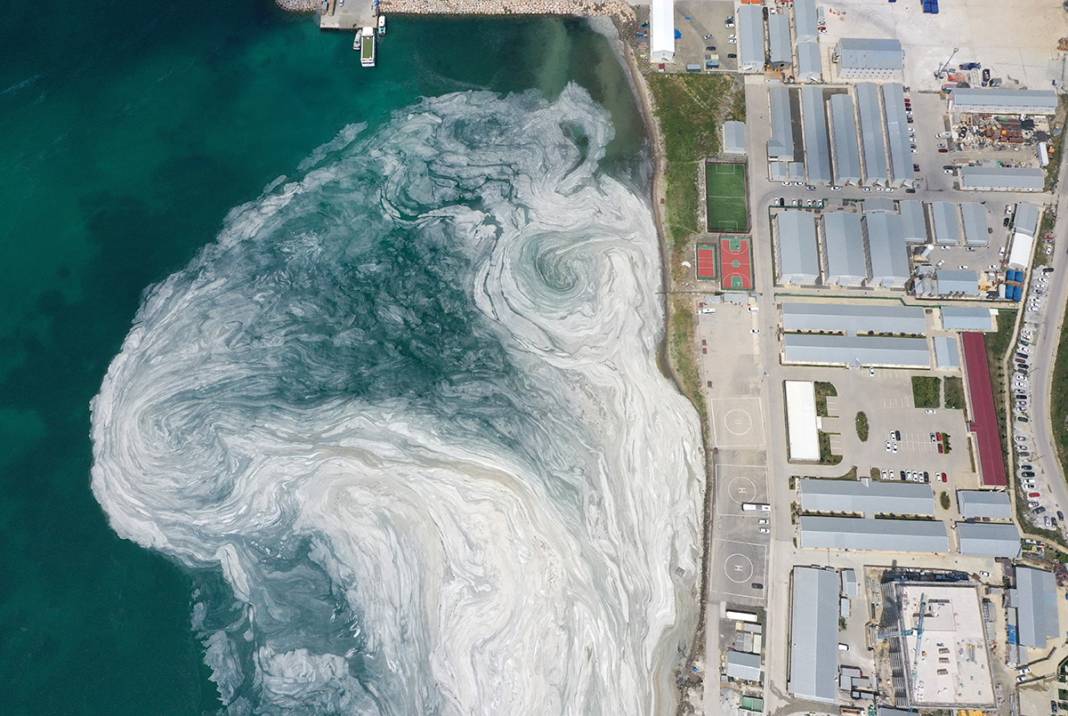 Deniz Salyası Ege'ye yayılıyor 6