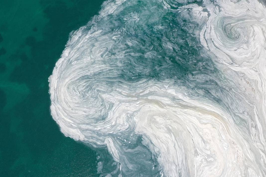 Deniz Salyası Ege'ye yayılıyor 7