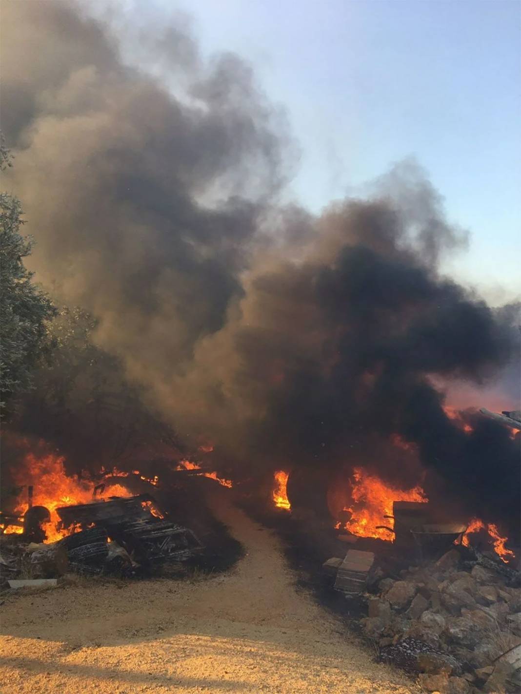 Akdeniz yanıyor! Yangın fırtınası 4 ili sardı 14