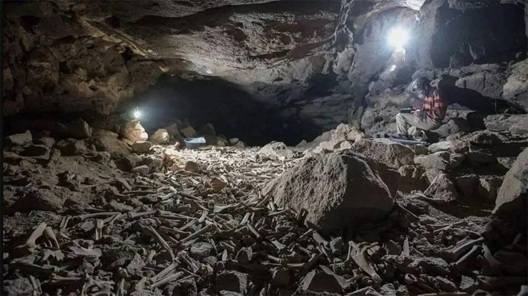 Araştırmacılar yıllarca korkudan giremedi: Mağaradaki on binlerce kemiğin gizemi çözüldü 1 Araştırmacılar yıllarca korkudan giremedi: Mağaradaki on binlerce kemiğin gizemi çözüldü 1