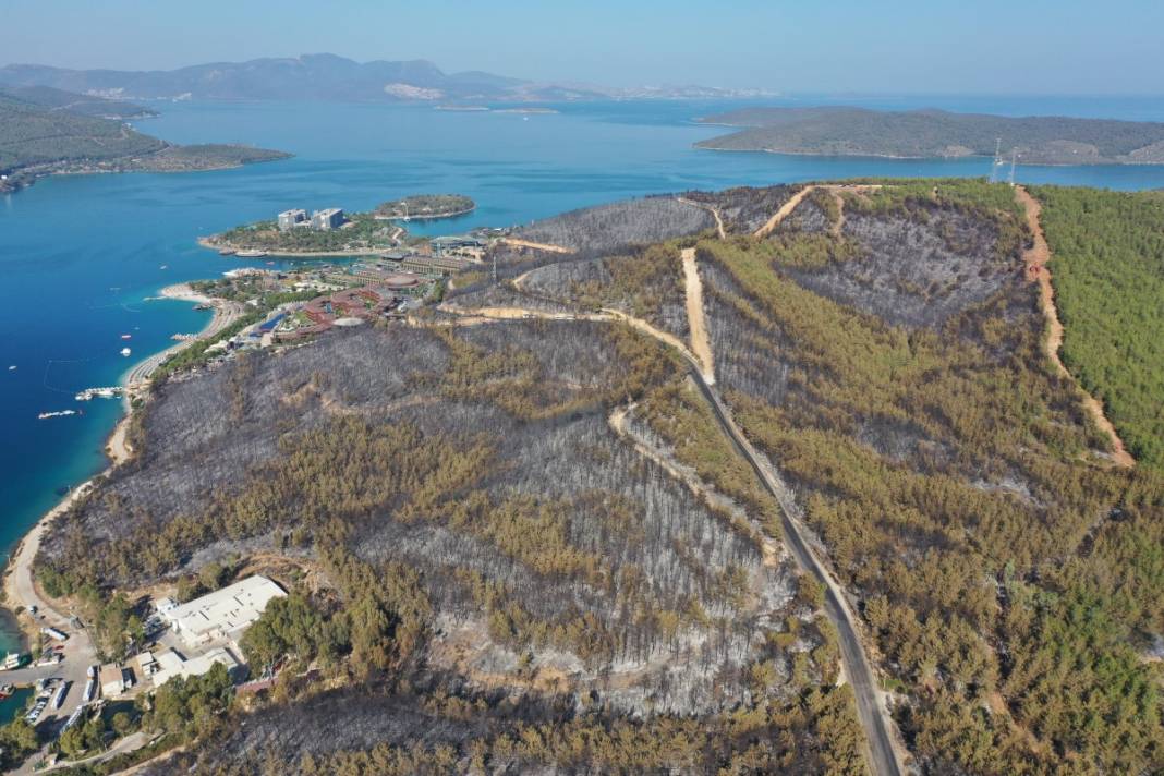 Kahreden manzara! Her yer kül oldu 8