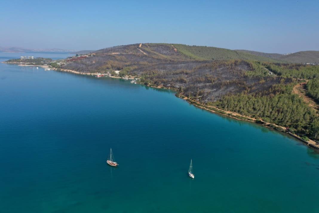 Kahreden manzara! Her yer kül oldu 14