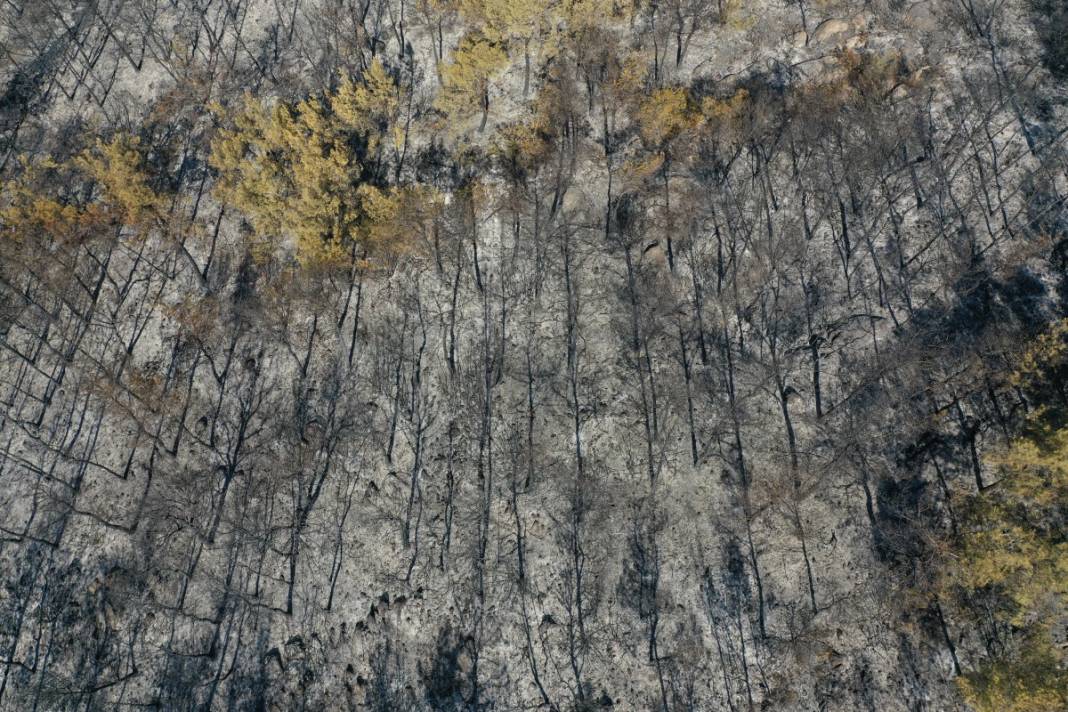 Kahreden manzara! Her yer kül oldu 15