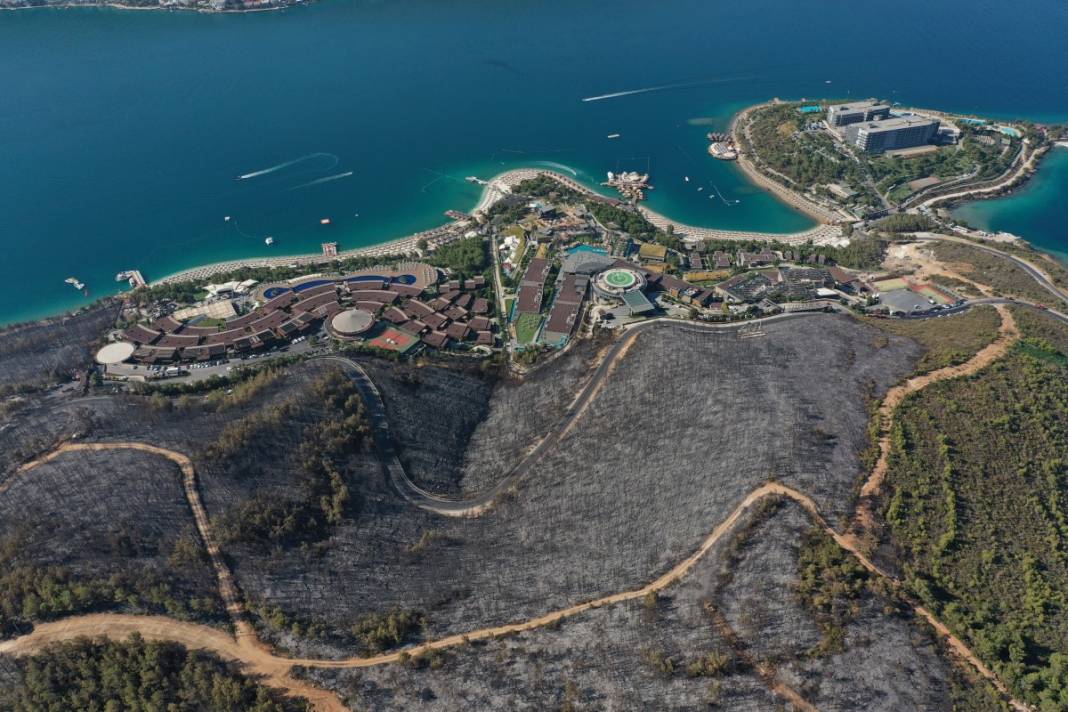 Kahreden manzara! Her yer kül oldu 20