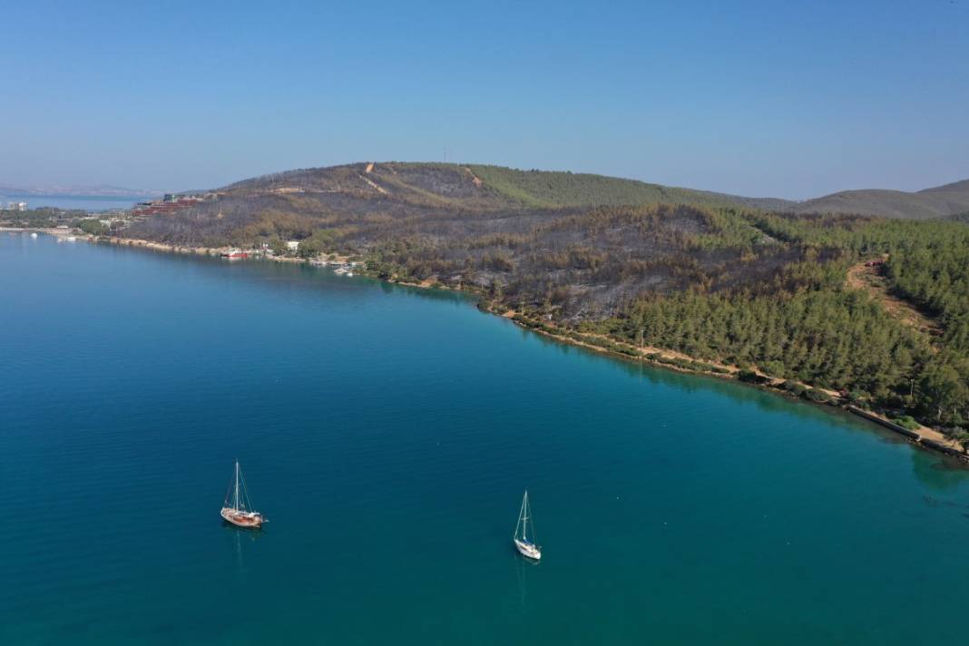 Kahreden manzara! Her yer kül oldu 22