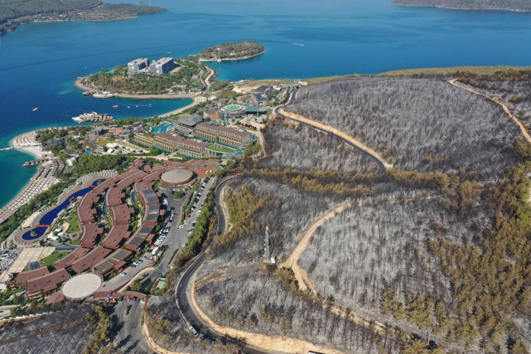 Kahreden manzara! Her yer kül oldu 25