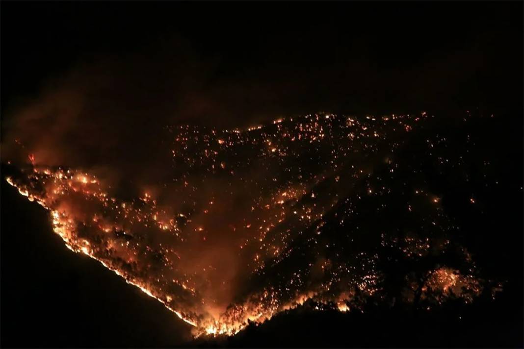 Akdeniz yanıyor! Yangın fırtınası 4 ili sardı 3