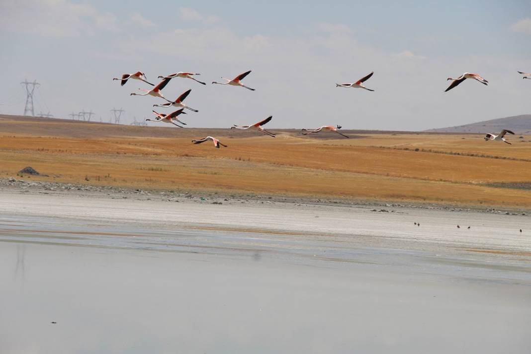 Bir gölet daha kuruyor 4