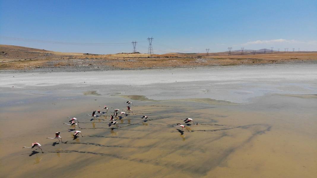 Bir gölet daha kuruyor 6