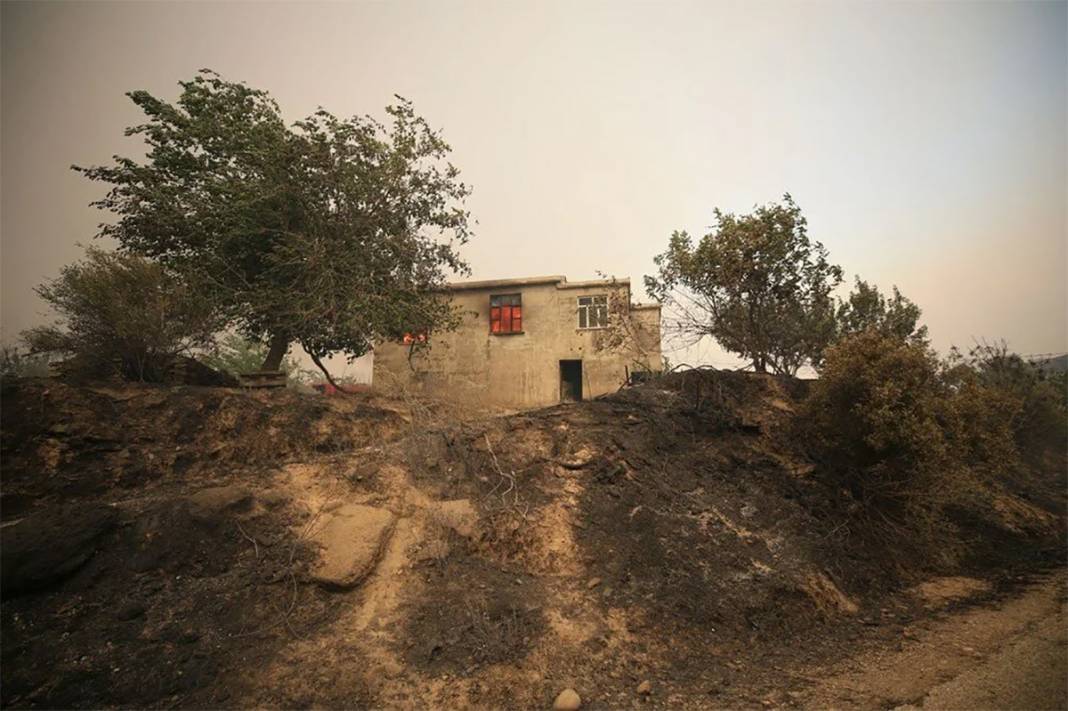 Akdeniz yanıyor! Yangın fırtınası 4 ili sardı 7