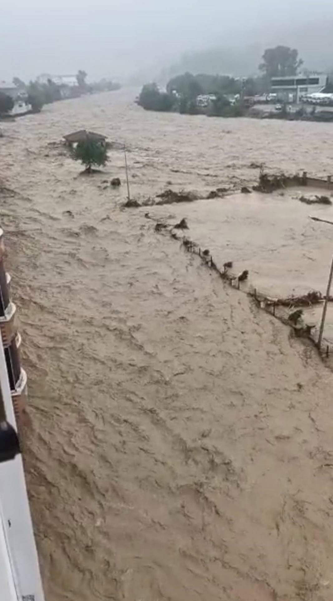 Rize ve Artvin'de sel felaketi! İple kurtarıldılar, cumaya kadar sürecek 21